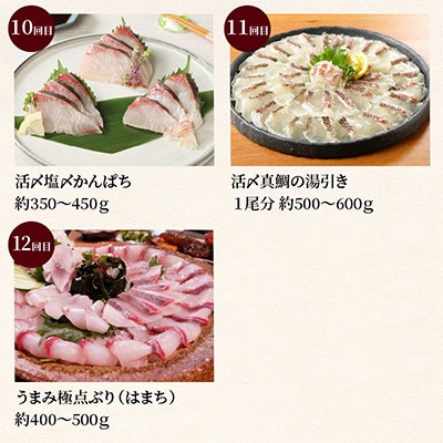 【毎月定期便】【ふるさと納税】活〆鮮魚のお刺身全12回