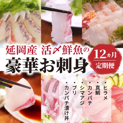 2021年10月発送開始『定期便』延岡産活〆鮮魚の豪華お刺身全12回