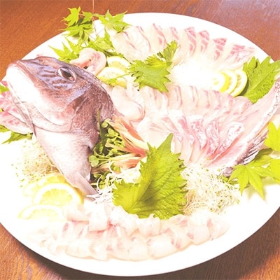 2023年2月発送開始『定期便』延岡産活〆鮮魚の豪華お刺身(12ヶ月定期便)全12回