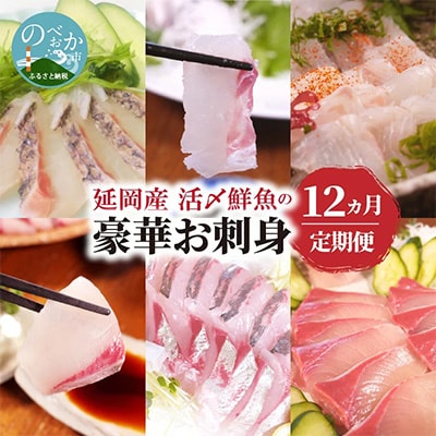 2022年9月発送開始『定期便』延岡産活〆鮮魚の豪華お刺身(12ヶ月定期便)全12回