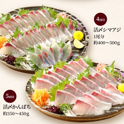 2023年7月発送開始『定期便』延岡産活〆鮮魚の豪華お刺身　全6回