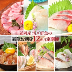 2023年11月発送開始『定期便』延岡産活〆鮮魚の豪華お刺身　全12回