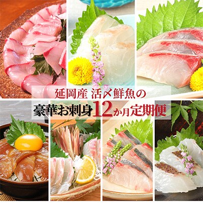 2023年9月発送開始『定期便』延岡産活〆鮮魚の豪華お刺身 全12回