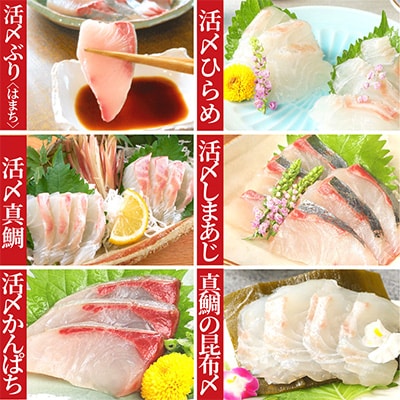 2023年9月発送開始『定期便』延岡産活〆鮮魚の豪華お刺身　全12回