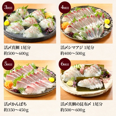 2023年7月発送開始『定期便』延岡産活〆鮮魚の豪華お刺身　全12回