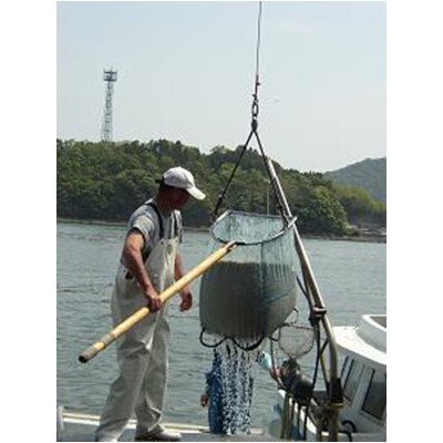上乾ちりめん　箱入り640g