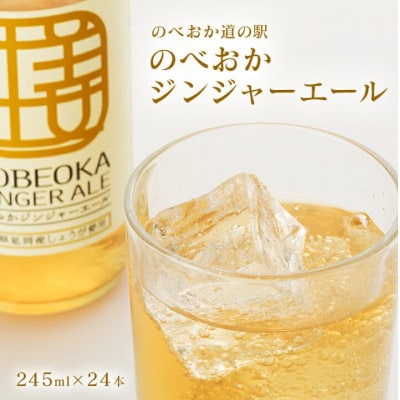 【のべおか道の駅オリジナル】のべおかジンジャーエール24本