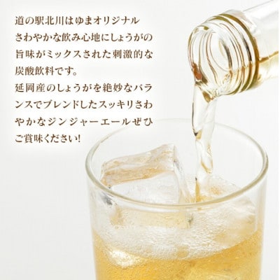 【のべおか道の駅オリジナル】のべおかジンジャーエール24本