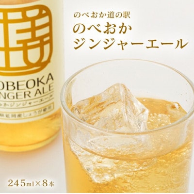【のべおか道の駅オリジナル】のべおかジンジャーエール8本