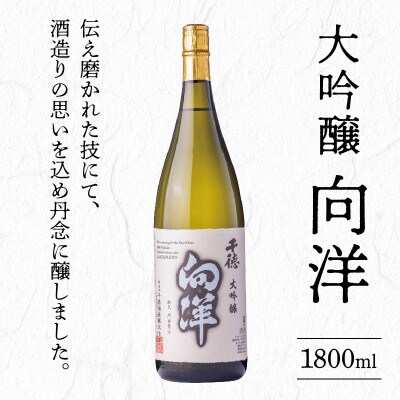 大吟醸 向洋 1800ml(延岡市)