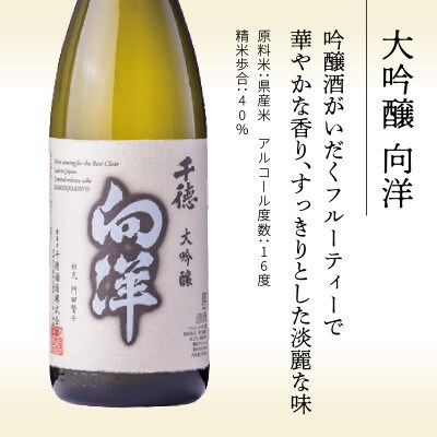 大吟醸 向洋 1800ml(延岡市)