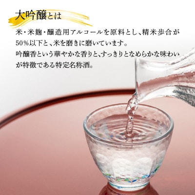 大吟醸 向洋 1800ml(延岡市)