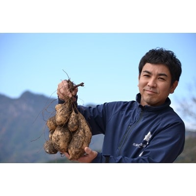 本格芋焼酎　延岡城下町　900ml　2本セット