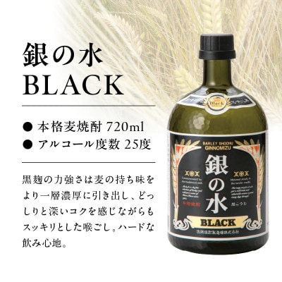 【飲み比べ】銀の水・銀の水BLACK 720ml×2本セット