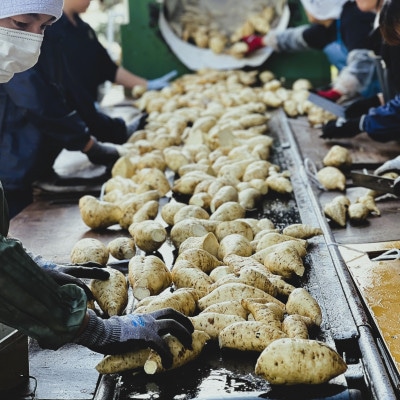 【飲み比べ】延岡限定 白 黒  1800ml×6本セット(各3本)