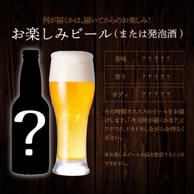 【毎月定期便】宮崎ひでじビールお楽しみ4本セット全3回