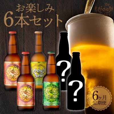【毎月定期便】宮崎ひでじビールお楽しみ6本セット全6回