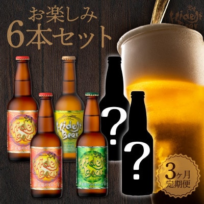 【毎月定期便】宮崎ひでじビールお楽しみ6本セット全3回