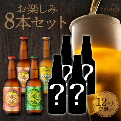 【毎月定期便】宮崎ひでじビールお楽しみ8本セット全12回
