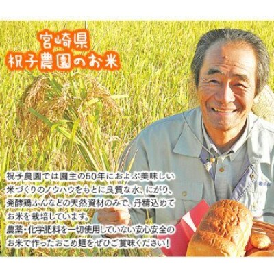 【グルテンフリー】無添加玄米麺　100g×6袋