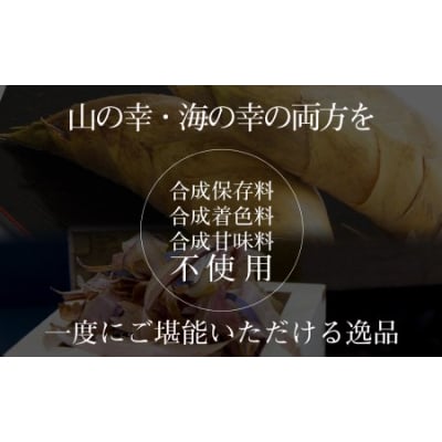節だし筍(たけのこ)100g×10袋　計1kg