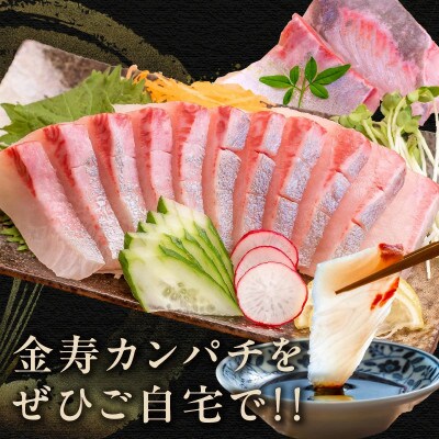 金寿カンパチ 1尾 約3.5kg【結城水産】