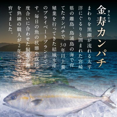 熟成金寿カンパチ 刺身用ブロック 約600g(急速凍結)
