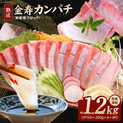冷凍熟成 金寿カンパチ 約1200g(刺身用ブロック)