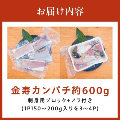 金寿カンパチ 約600g アラ付き(刺身用ブロック+アラ付き)