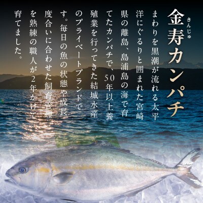 冷凍 金寿カンパチ アラ 約600g入り5パック 計3kg