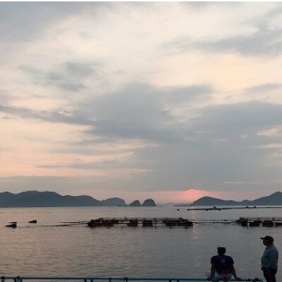 延岡市島浦島育ちの厳選鮮魚セット(シマアジ・イサキ・マダイ・メジナ)