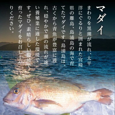 冷凍 マダイアラ 計10パック(約650g入/パック)