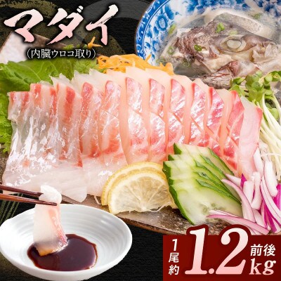 マダイ(内臓ウロコ取り)1尾分　約1.2kg