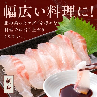 マダイ(内臓ウロコ取り)1尾分　約1.2kg