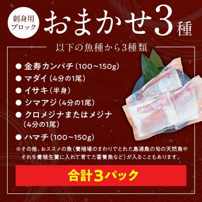 おまかせ3魚種 刺身用ブロックセット 計3パック(2～3人前)