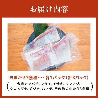 おまかせ3魚種 刺身用ブロックセット 計3パック(2～3人前)