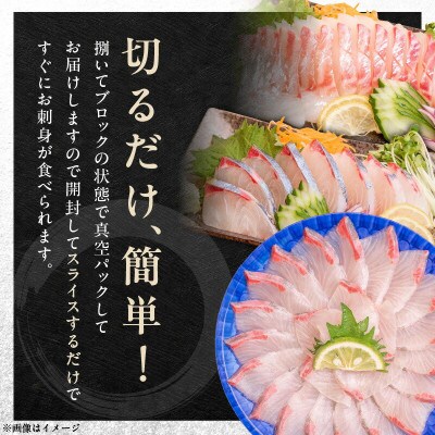 おまかせ3魚種×2P刺身用ブロックセット アラ付き 計6パック(5～6人前)