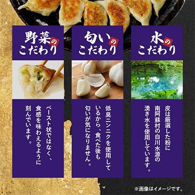 「ぎょうざの店　黄楊」の手作り餃子　60個　