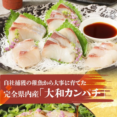 大和カンパチの切り身 約600g お礼品詳細 ふるさと納税なら さとふる
