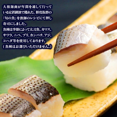 季節の魚 押し寿司3～4人前