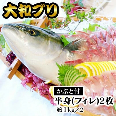 【大和ブリ】半身(フィレ)約1kg×2枚　かぶと付き