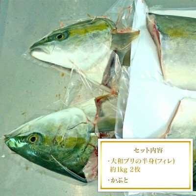 【大和ブリ】半身(フィレ)約1kg×2枚　かぶと付き