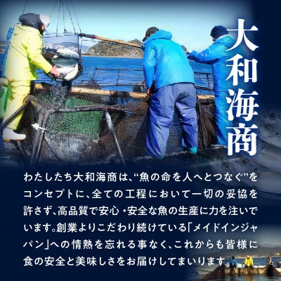 【大和カンパチ】半身(フィレ)約1.0kg～1.2kg×2枚(スキンレスロイン仕様)あら付