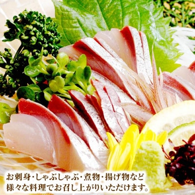 【大和ブリ】半身(フィレ)約1.0～1.2kg×2枚(スキンレスロイン仕様あら付き)