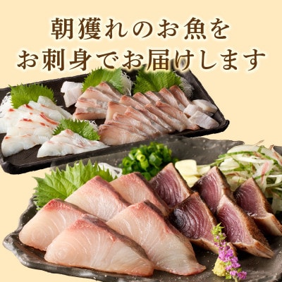 大和の高級お刺身6人前
