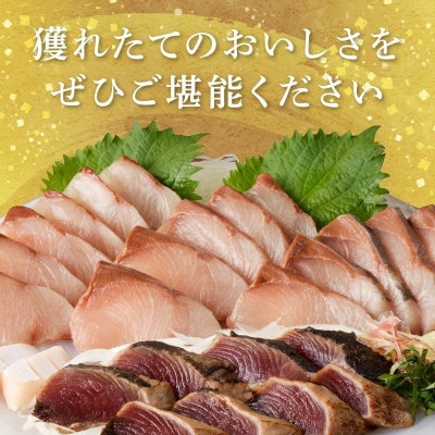 大和海商 こだわり漁師のお刺身 6人前