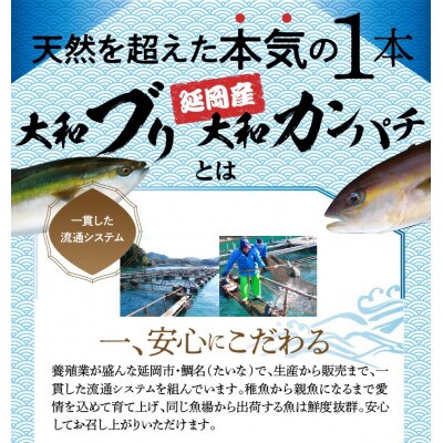 豪華お造りセット