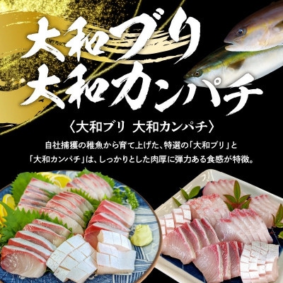 豪華お造りセット