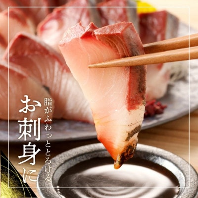 贅沢お造りセット