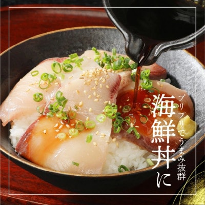 まるごと一本!大和ブリ 約5.5kg(内臓処理済み)